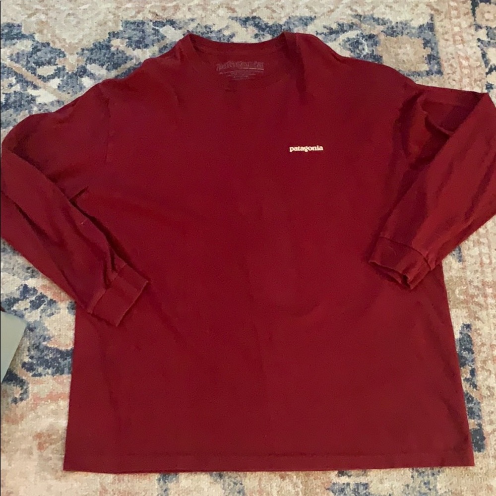 Patagonia Men’s Tee